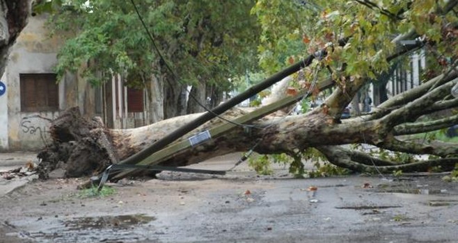Una fuerte tormenta azotó a Zárate
