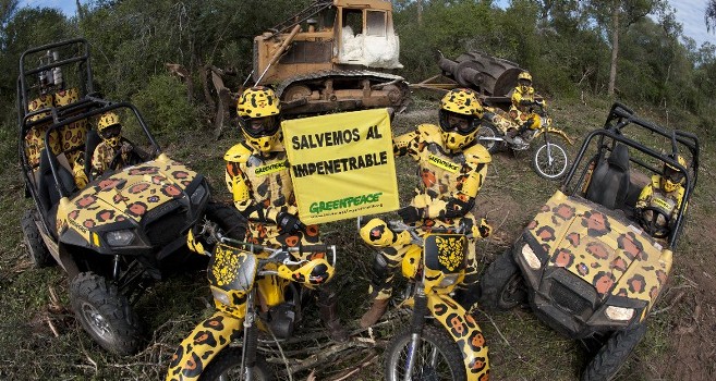 Activistas de Greenpeace bloquearon un desmonte en el Impenetrable Chaqueño