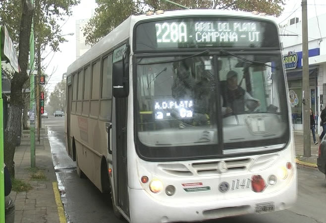Concejales piden al ejecutivo documentación sobre el nuevo servicio de transporte