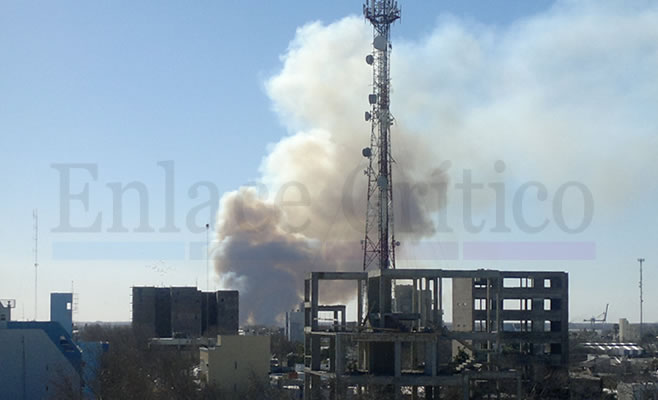 Incendio en la franja costera zarateña