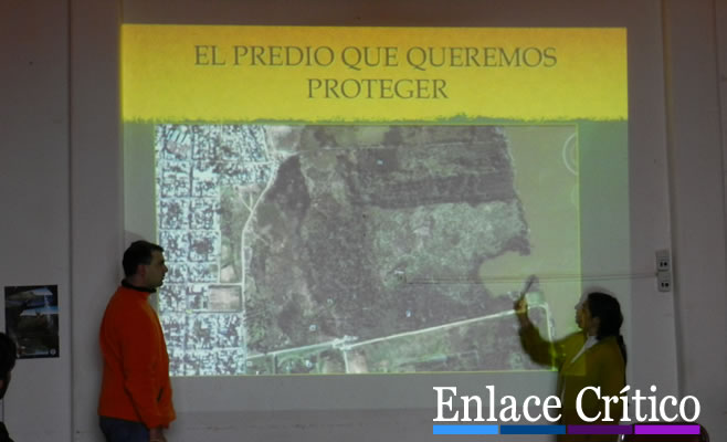 ¿Y si en Zárate le damos una oportunidad al medio ambiente?