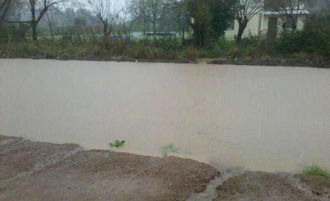 ¿Es Venecia?, ¡no!... es el barrio Los Ceibos de Zárate