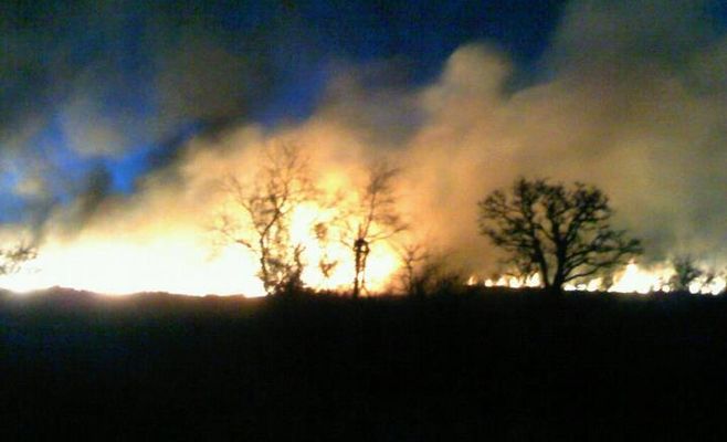 Bomberos Voluntarios de Zárate evaluaron las causas de la ola de incendios