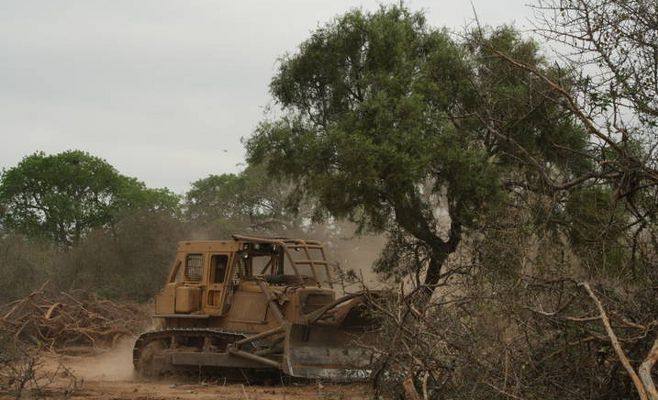Un pedido para pensar pero para que actúen los que deben hacerlo