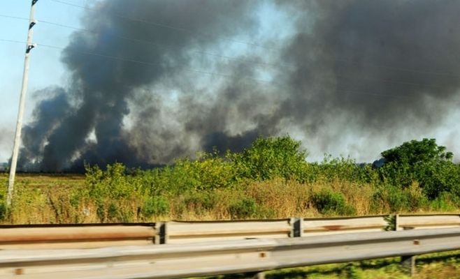Explosión en una planta de agroquímicos