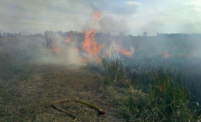 Se liberó el tránsito en Ruta 12