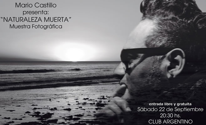 Mario Castillo - "Naturaleza Muerta"