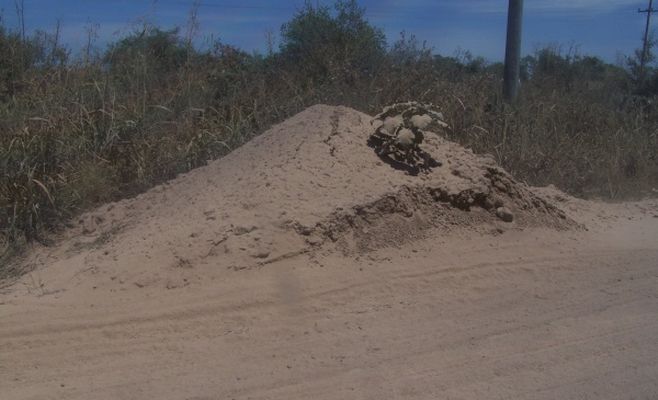 En el camino hacia la nada o dicho de otra manera hacia el peligro