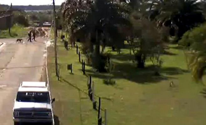 Se suspendió el juicio oral por el crimen en el Parque de la Cruz