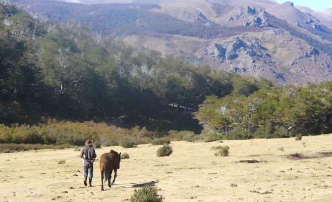 Buscando el Huemul
