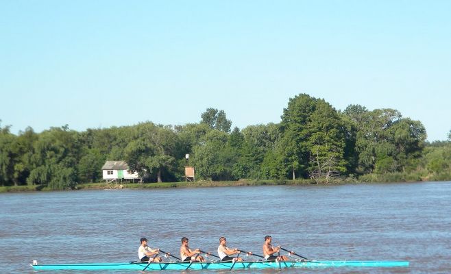 Regata