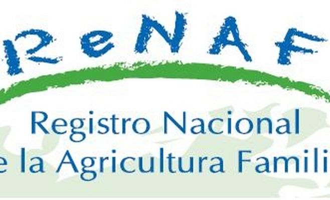 Capacitaron a técnicos municipales para el Registro Nacional de la Agricultura Familiar