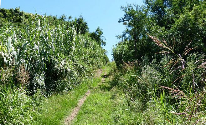 Barranca