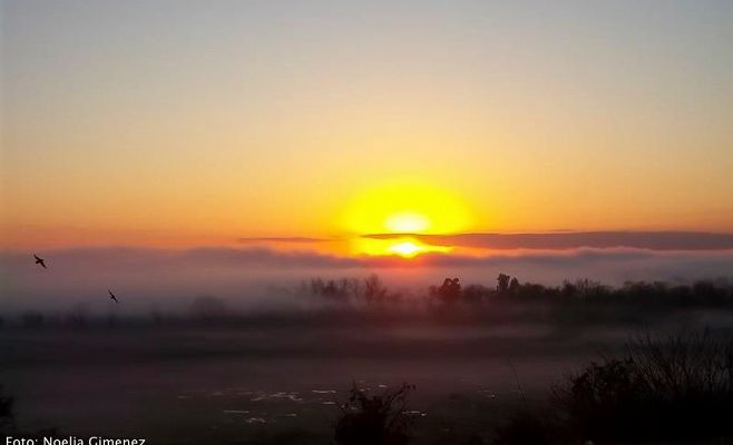 "El impacto de las urbanizaciones sobre los humedales del Delta del Paraná"