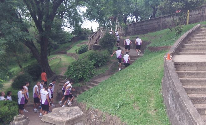 Pretemporada del Viola