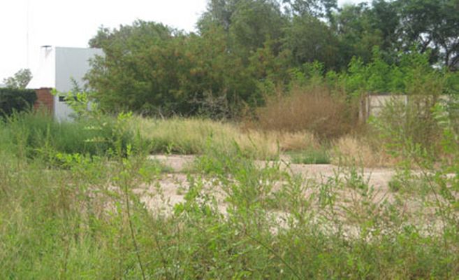 Se confirmó la identidad del joven encontrado muerto