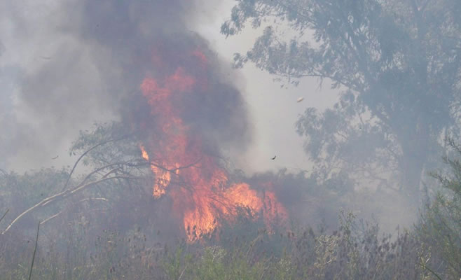 Incendio Las Acacias Campana