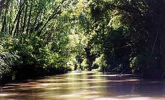 Delta Argentino_658x400