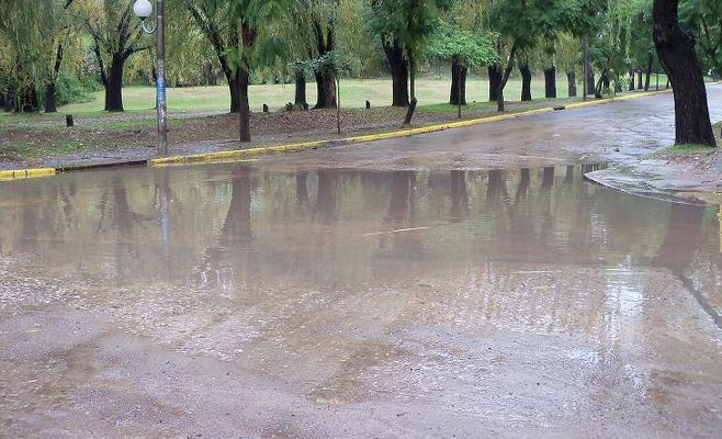 LLuvia Zárate 