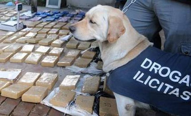 La marihuana secuestrada en Lima era parte de un cargamento mayor