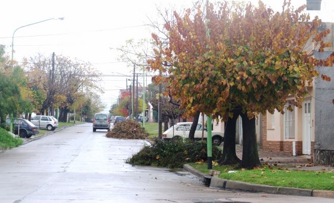 Basura Campana
