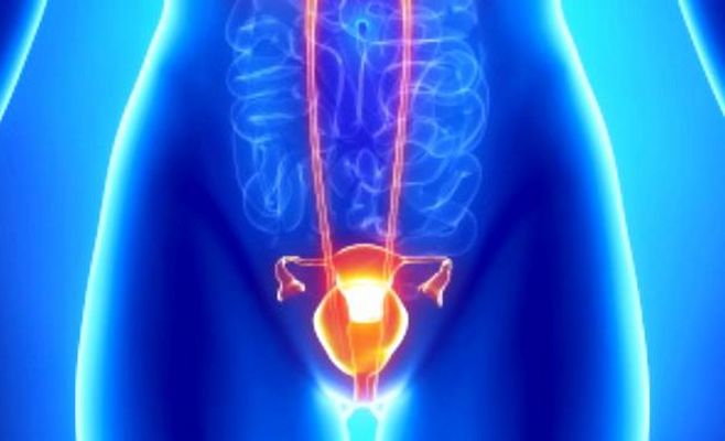 Infección Urinaria 