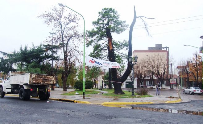 Basura Campana