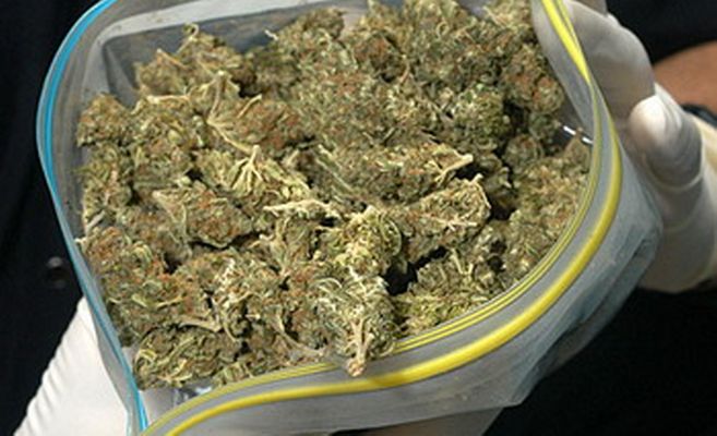 Más de 50 kg. de Marihuana secuestrados en el Peaje de Lima