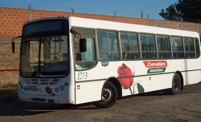 colectivo