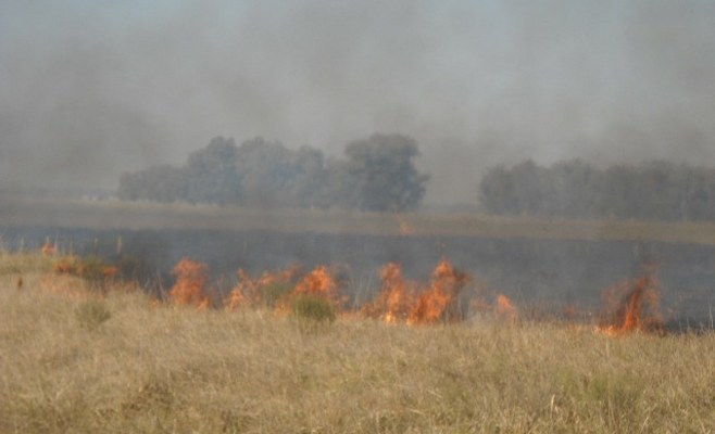 Fuego banquina