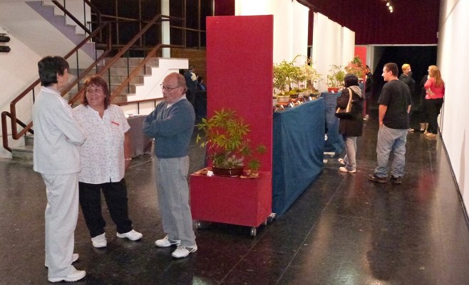 Ciudad Bonsai