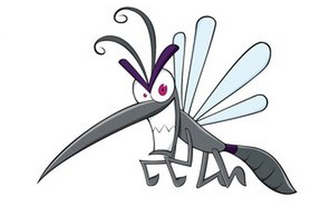 mosquito 