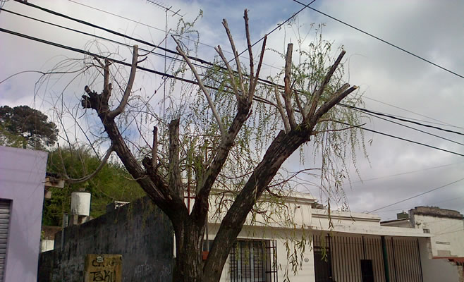 Poda Presupuesto Participativo
