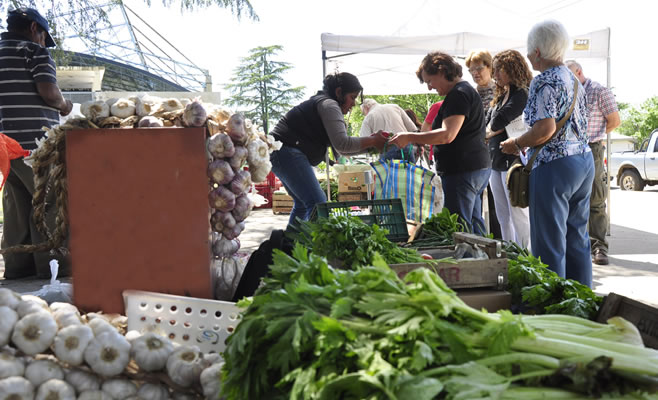 Feria Productores Campana 3