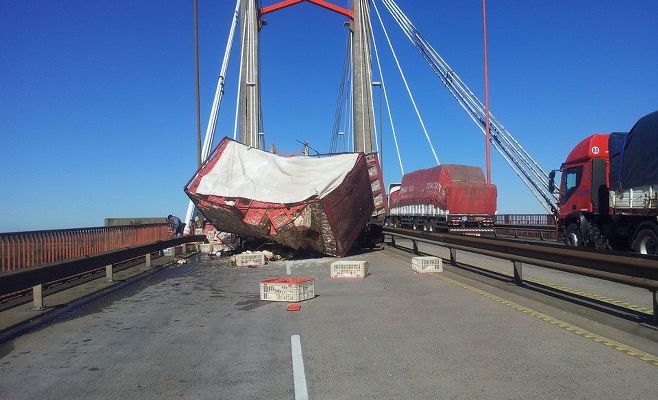 Camión Puente pollos