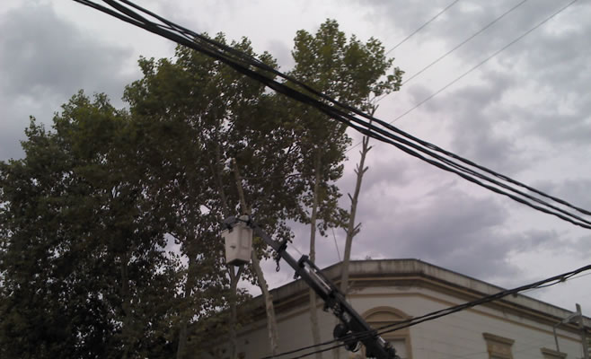 Corte de luz poda (2)