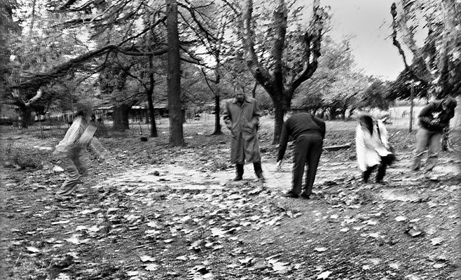 busqueda y sobrevivienteHELEN0100