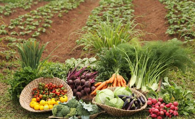 Agricultura