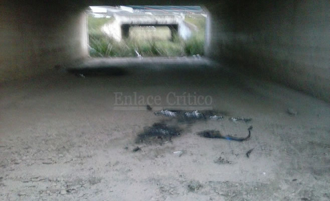 Policial Lima (2)