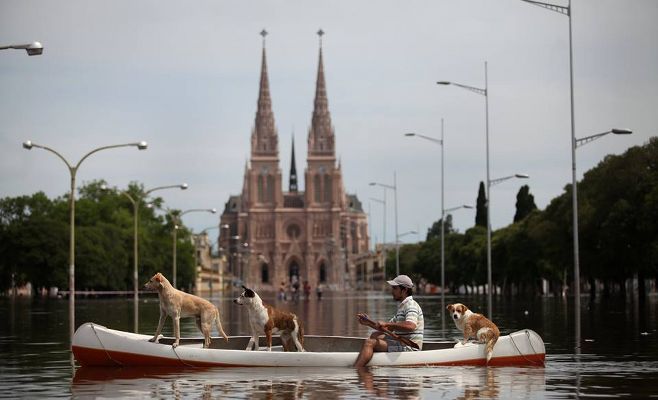 basilica-y-perros