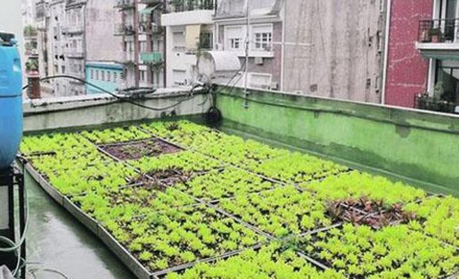 Terrazas ecológicas