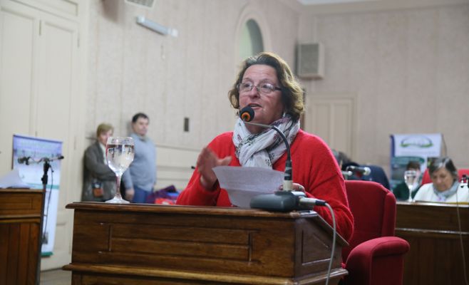 HCD Campana Ana María Cesan