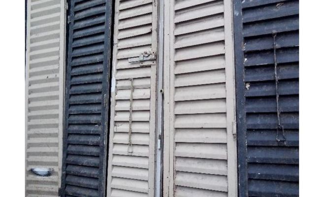 Soledad es una perra que rasca la puerta
