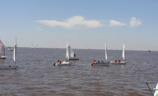 CNZ Vela