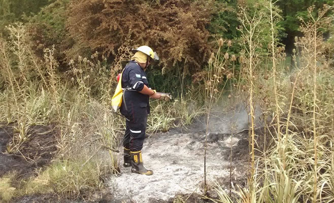 Incendio Pastizales Bomberos 193 2