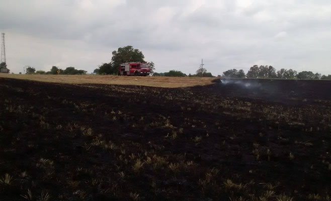 Incendio Pastizales Bomberos 193