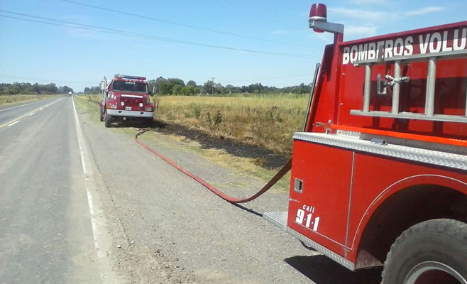 Incendio Pastizales Bomberos 2