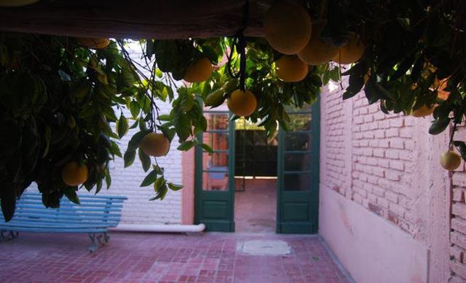 Naranjo