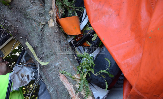 Accidente Camion 2 (2)