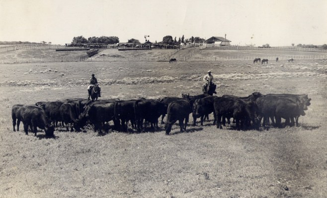 ESTANCIA COPIAPO